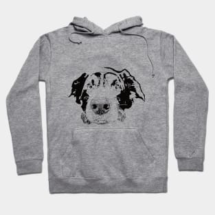 Border Collie Face Design - A Collie Christmas Gift Hoodie